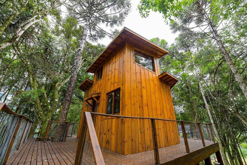 Casa Na Arvore Em Chalé *