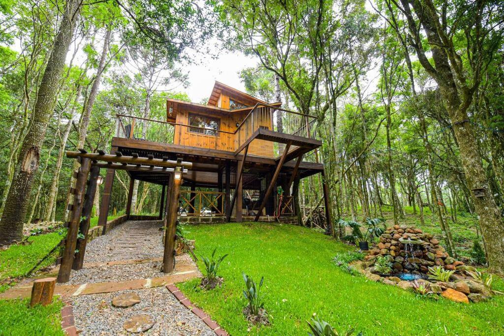 Chalé Casa Na Arvore Em *